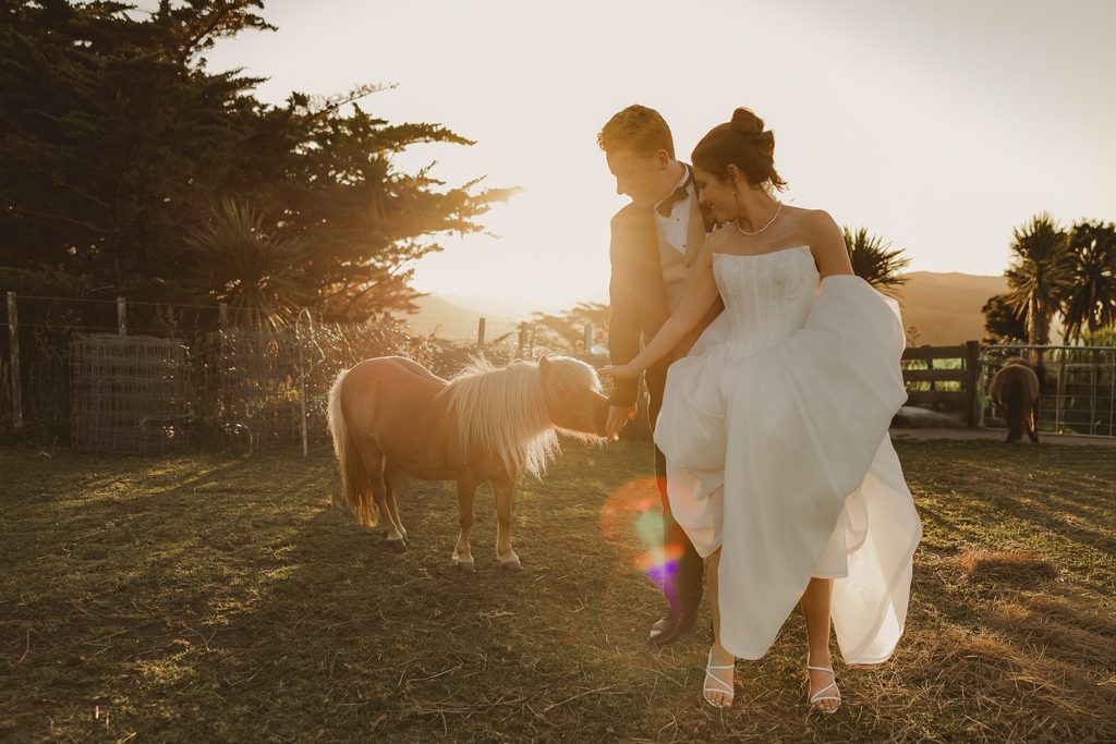 Bride and groom at golden hour with a pony wandering into frame at Leigh Central, sun flare and rolling hills in the background